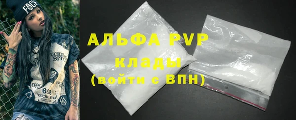 молекула духа Елабуга
