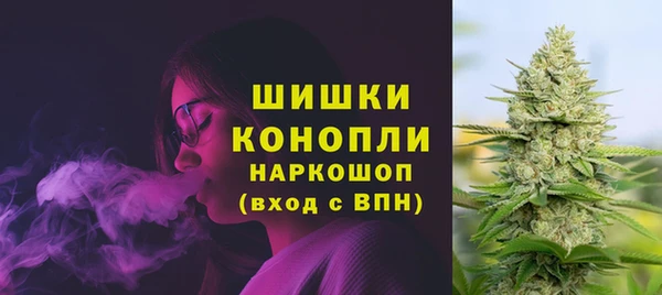 молекула духа Елабуга