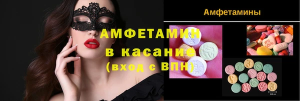 амф Ельня