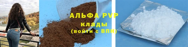 амф Ельня