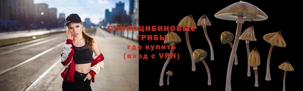 амф Ельня