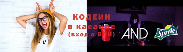молекула духа Елабуга