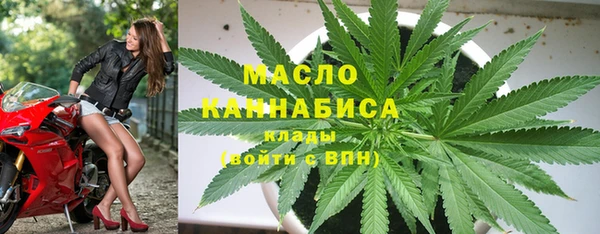 молекула духа Елабуга