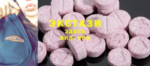амф Ельня
