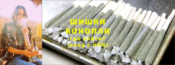 амф Ельня