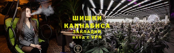 амф Ельня
