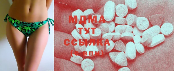 амф Ельня