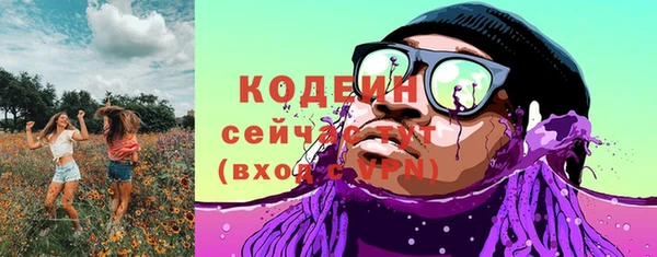 амф Ельня