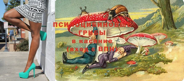 амф Ельня