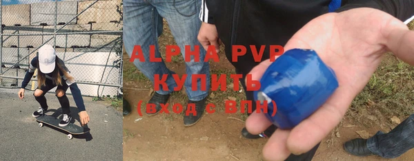 амф Ельня