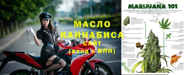 молекула духа Елабуга