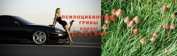 амф Ельня