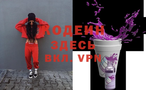 амф Ельня