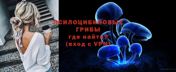 молекула духа Елабуга