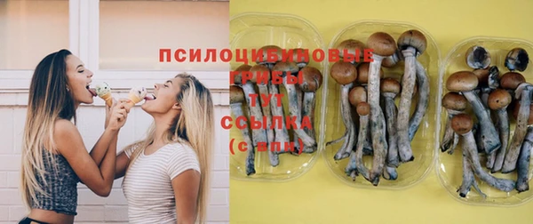 мдма Елизово