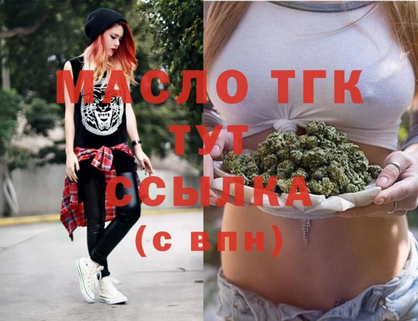 амф Ельня