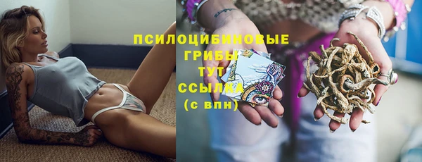 мдма Елизово