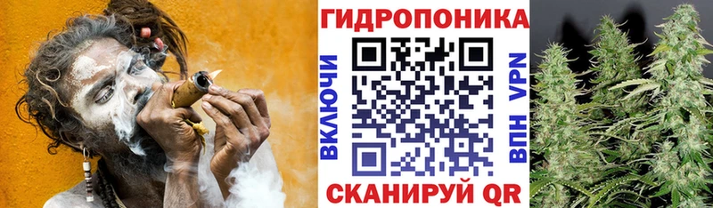 Марихуана AK-47  Купить где  Жердевка 